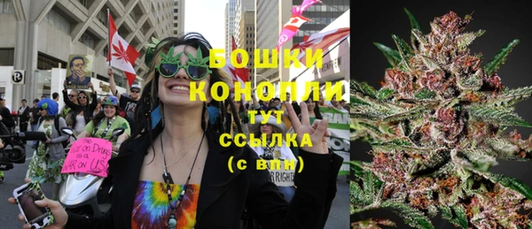 PSILOCYBIN Белокуриха