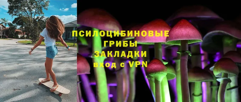 купить   Райчихинск  Псилоцибиновые грибы MAGIC MUSHROOMS 